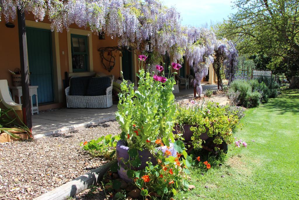 Hebron Guesthouse & Restaurant Ситрусдал Экстерьер фото
